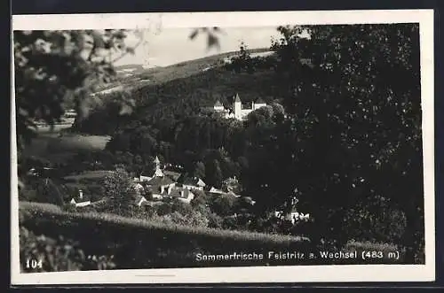 AK Feistritz a. Wechsel, Teilansicht mit Kirche