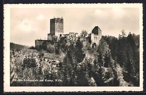 AK Rastenfeld /N.-Oe., Ruine Lichtenfels am Kamp