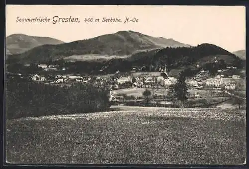 AK Gresten /N.-Oe., Teilansicht mit Bergen