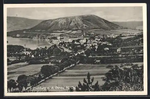 AK Hainburg a. d. Donau, Teilansicht mit Strassenpartie