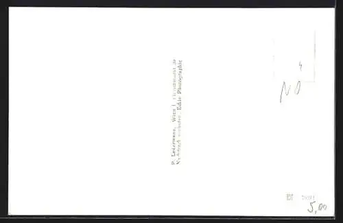 AK Horn /N.-Oe., Teilansicht mit Kirche