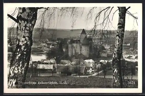 AK Heidenreichstein /N.-D., Blick auf die Burg