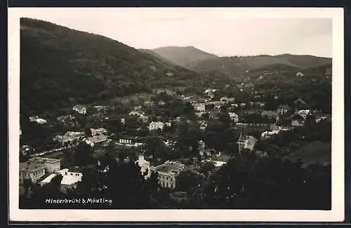 AK Hinterbrühl b. Mödling, Teilansicht mit Bäumen