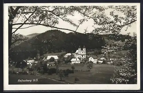 AK Hafnerberg /N. Ö., Ortspartie mit Kirche