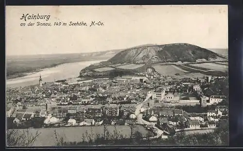 AK Hainburg, Totalansicht aus der Vogelschau