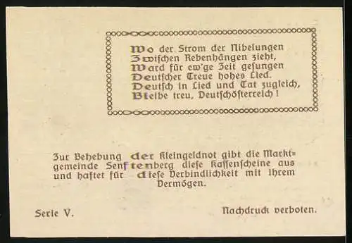 Notgeld Senftenberg 1920, 20 Heller, Landschaftsmotiv und Wappen, Serie V