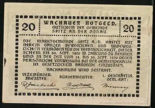 Notgeld Spitz a.D. 1920, 20 Heller, grüne Ranken und Rautenmuster, Seriennummer und Unterschriften