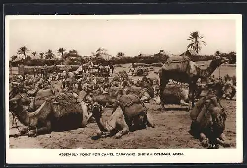 AK Aden, Assembly Point for camel caravans, Sheikh Othman