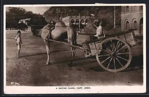 AK Aden, A Native Camel Cart