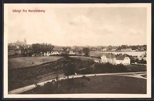 AK Haraldsborg, Panorama mit Strassenpartie