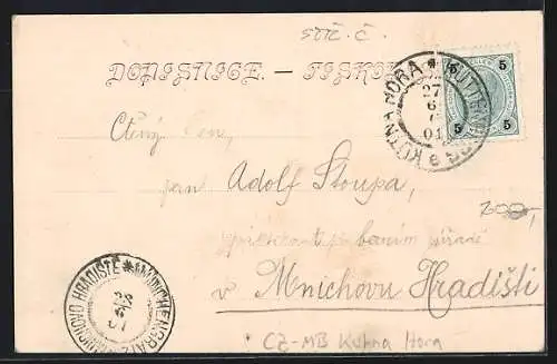 AK Kutna Hora, Sokolovna