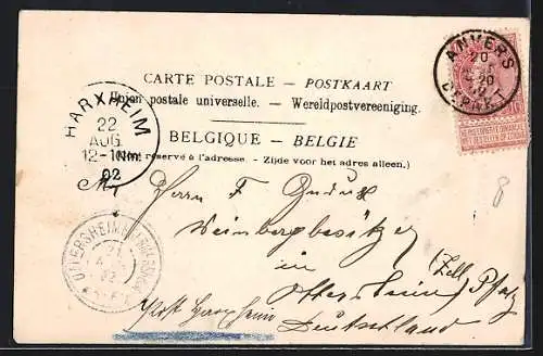 AK Anvers, Le Bassin Flamand