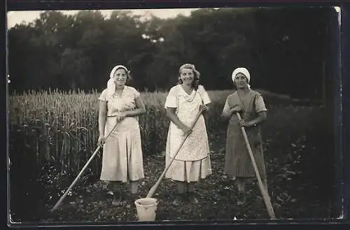 Foto-AK Drei Bäuerinnen bei der Ernte