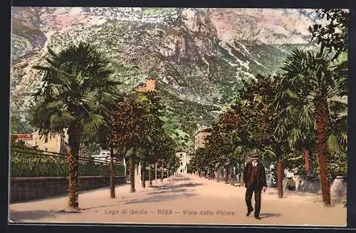 AK Riva /Lago di Garda, Viale delle Palme