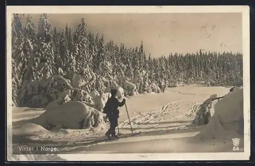 AK Norwegen, Skiläufer im Tiefschnee