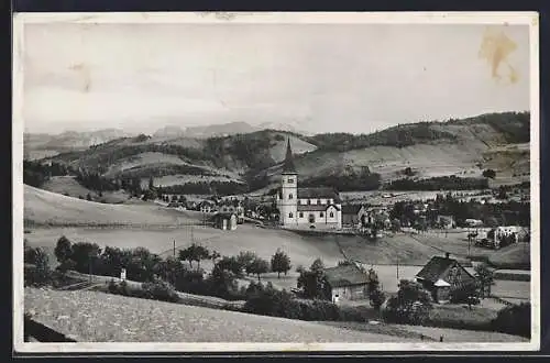 AK Haslen / Appenzell, Panoramablick auf den Ort