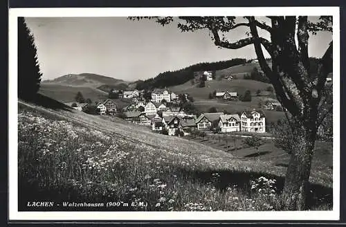 AK Lachen, Walzenhausen mit Umgebung