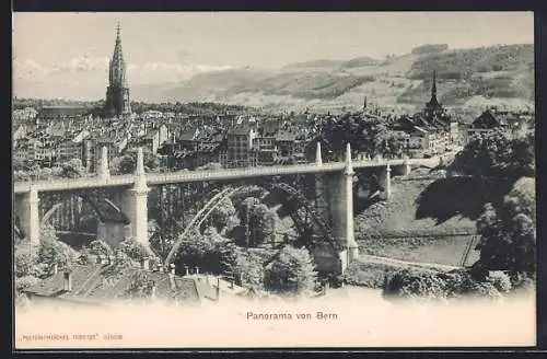 AK Bern, Panorama mit Kirche und Brücke