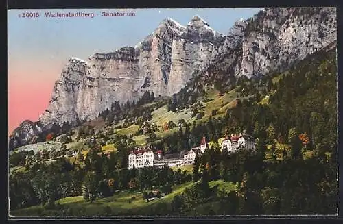 AK Wallenstadtberg, Sanatorium mit Bergpanorama