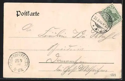 AK Dömitz, Gaststätte Schützenhaus mit Fuhrwerk, Ludwigsluster Chaussee