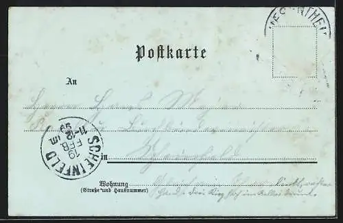 Mondschein-Lithographie Wiesentheid, Neumannstrasse m. Rathaus, Schlösschen, Totalansicht