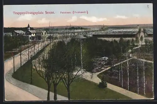 AK Senne, Truppenübungsplatz, Panorama mit Strassenpartie, Heidemotiv