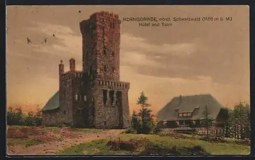 AK Hornisgrinde / Schwarzwald, Hotel und Turm