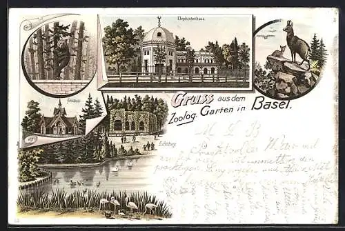 Lithographie Basel, Zoologischer Garten, Elephantenhaus, Eulenburg, Hirschhaus