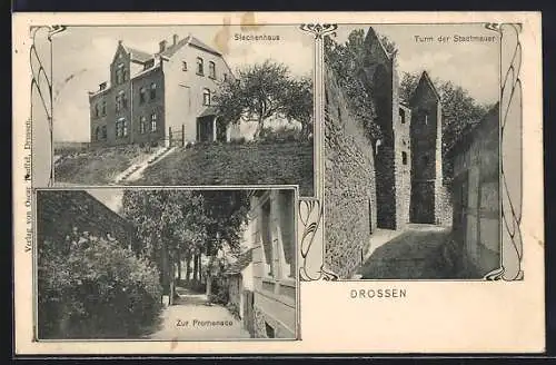 AK Drossen, Siechenhaus, Turm der Stadtmauer, zur Promenade