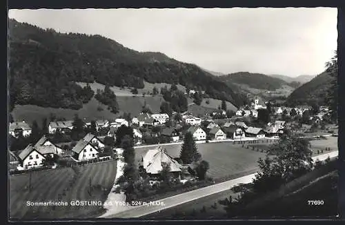 AK Göstling a. d. Ybbs, Ortsansicht mit Landstrasse aus der Vogelschau