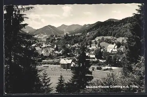 AK Göstling a. d. Ybbs, Ortsansicht mit Bergpanorama