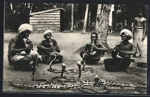 AK Ceylon, Snake Charmers, Schlangenbeschwörer mit ihren Schlangen