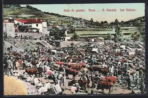 AK Teror /Gran Canaria, Feria de ganado