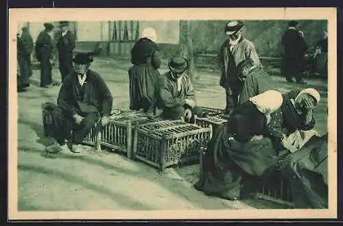 AK Vendée, Do cageots létian fin pleins de biâ canards, Pays de la Loire