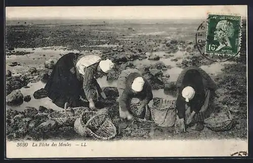 AK La Peche des Moules, Frauen sammeln Austern im Watt