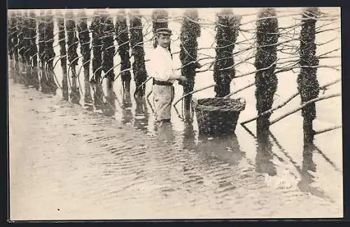 AK Chatelaillon, Récolte des moules aux Boucholeurs