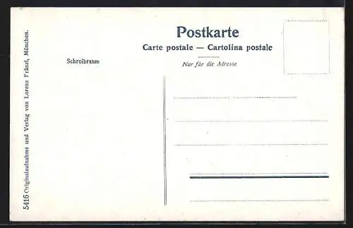 AK Bozen /Südtirol, Ortsansicht v. Virgl gegen Sarner Scharte