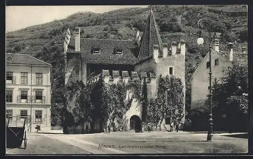 AK Meran, Die landesfürstliche Burg