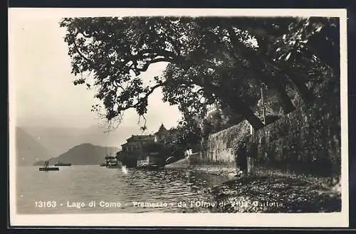 AK Tremezzo /Lago di Como, Veduta da l`Olmo de Villa Carlotta