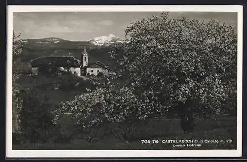 AK Castelvecchio di Caldaro, Panorama