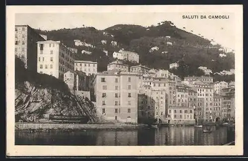 AK Camogli, Panorama