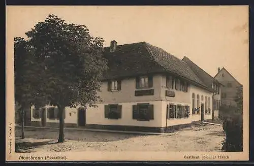 AK Moosbrunn /Moosalbtal, Gasthaus goldener Hirsch K. Wurz mit Strasse