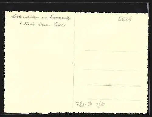 AK Demerath /Daun-Eifel, Strassenpartie mit alten Wohnstätten