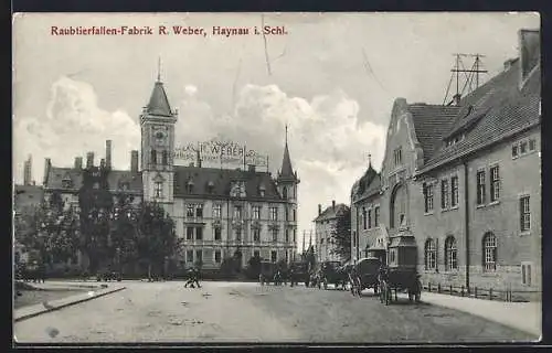 AK Haynau i. Schl., Raubtierfallen-Fabrik R. Weber