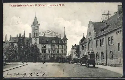 AK Haynau i. Schl., Raubtierfallen-Fabrik R. Weber