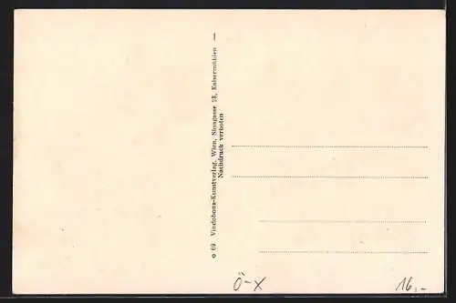 AK Kollerschlag, Warenhaus v. Franz Baumüller, Ortspanorama