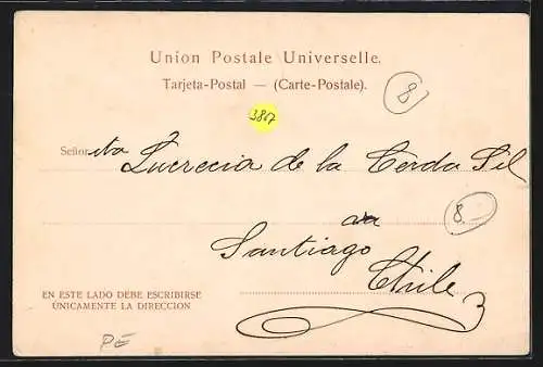 AK Cerro de Pasco, Ortsansicht im Blumen-Passepartout