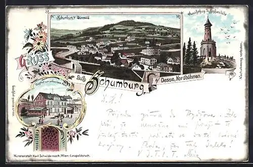 Lithographie Schumburg / Desse, Gesamtansicht, Aussichtsturm a. d. Stephanshöhe, Gasthof zum schwarzen Adler