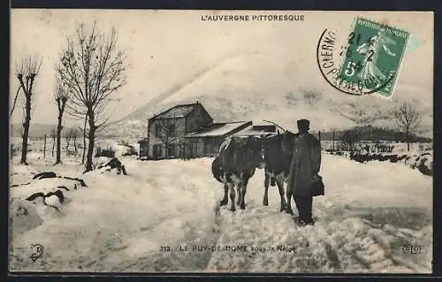 AK Le Puy-de-Dôme, sous la neige avec un homme et ses bœufs dans un paysage hivernal