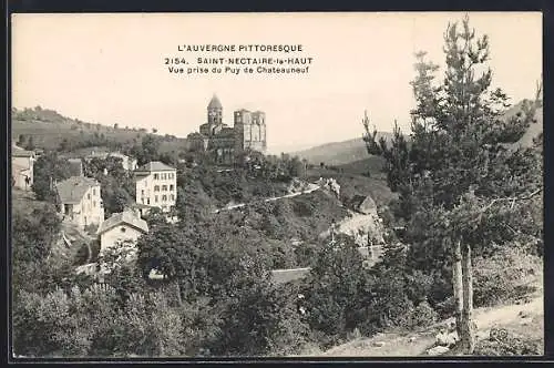 AK Saint-Nectaire-le-Haut, Vue prise du Puy de Châteauneuf